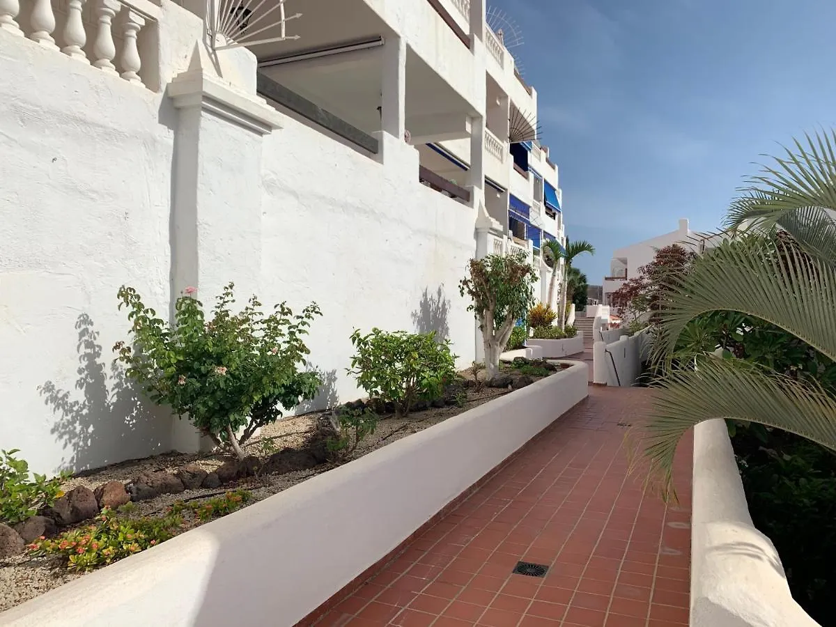Apartment Sunny Tenerife, Los Cristianos, Studio