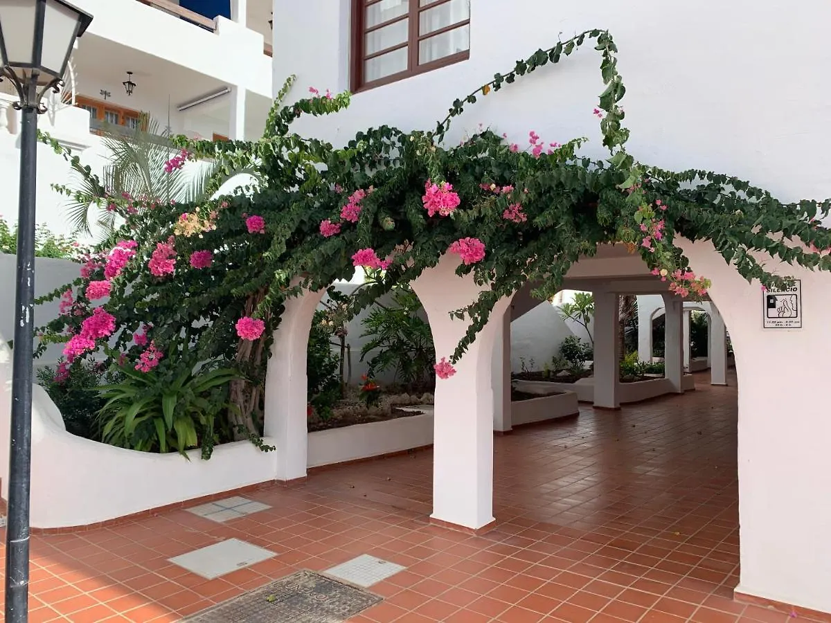 Sunny Tenerife, Los Cristianos, Studio Spanien