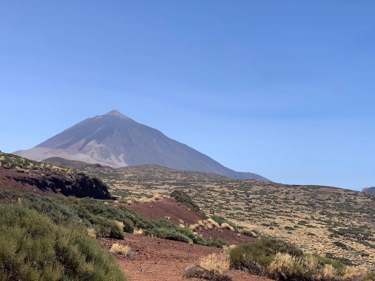 Sunny Tenerife, Los Cristianos, Studio Spain